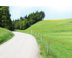 path
